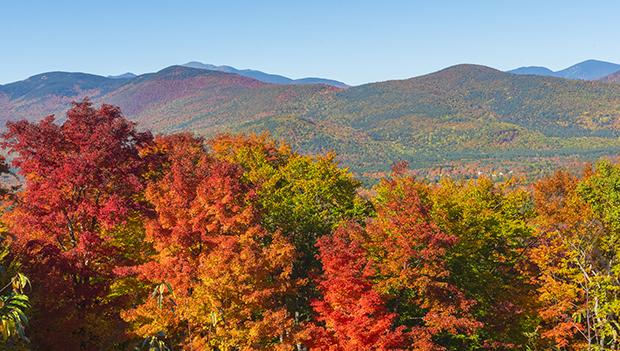 Fall Colors at Bear Brook State Park