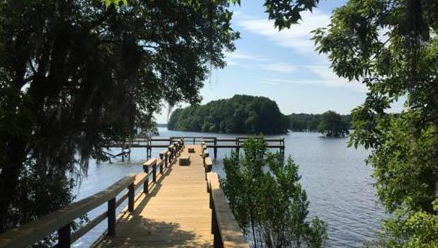 Lake Talquin State Forest